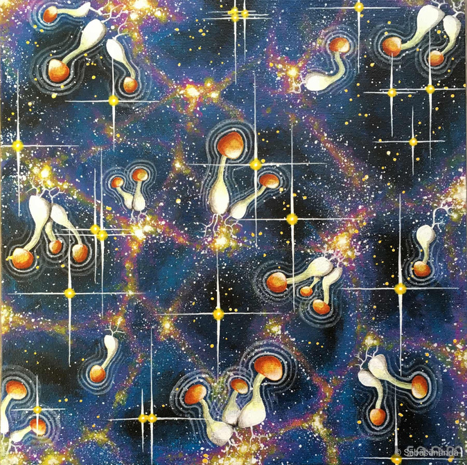 Acrylic painting of floating orange and white shrooms in a starry cosmic network grid by Sēbāsānanda