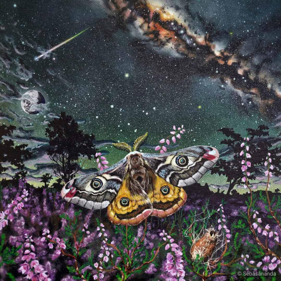 The cosmic cocoon: Acrylic painting of a large emperor moth in a purple heather field under the milky way and shooting stars by Sēbāsānanda